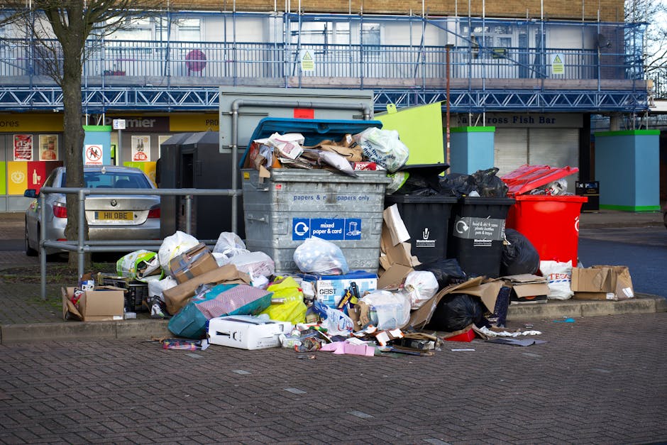 A black wheelie bin labeled 'St. John's' positioned on the curbside of a quiet urban street at night. The bin's lid is open, revealing an assortment of discarded cardboard and paper waste, with some i