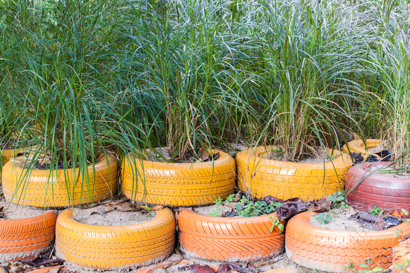 Innovative Solutions for Packaging and Cardboard Disposal
